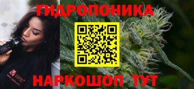 спайс Гусь-Хрустальный