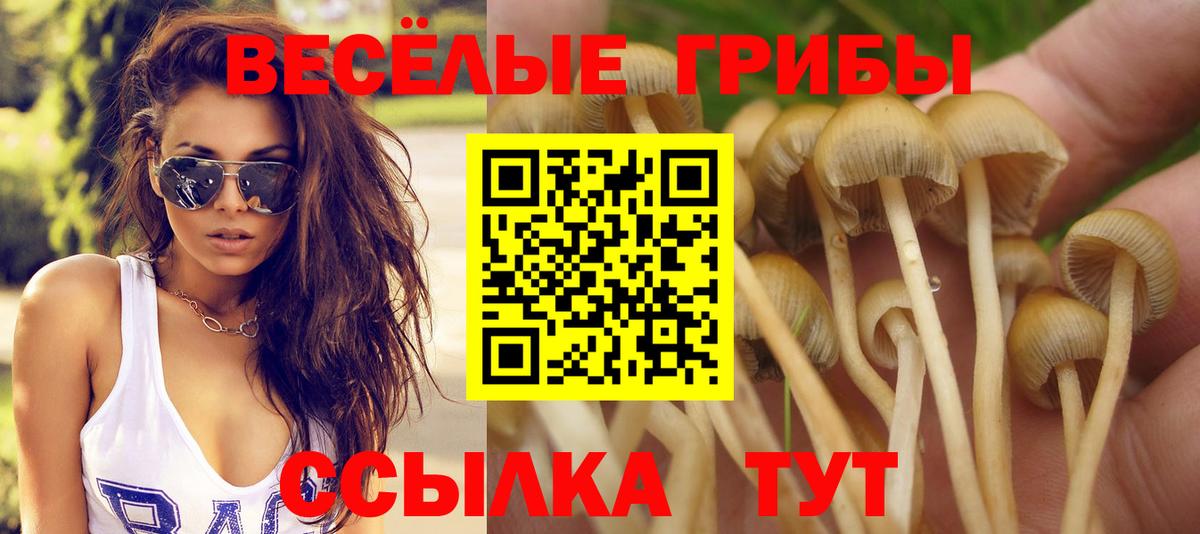 Галлюциногенные грибы Psilocybine cubensis  Вход с VPN  Коряжма  Галлюциногенные грибы Psilocybe 