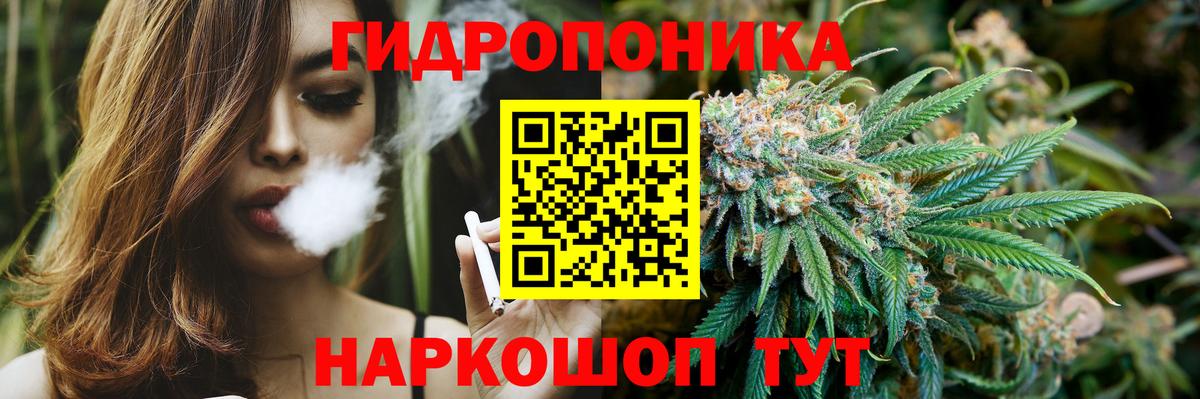 Шишки марихуана VHQ  Бошки марихуана THC 21%  Вход с VPN  Бошки марихуана ГИДРОПОН  Марихуана тримм  Коряжма 